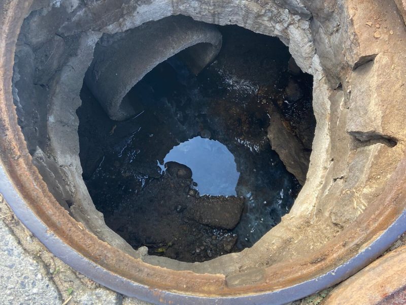 WhatsApp Image 2022-08-03 at 15.43.43