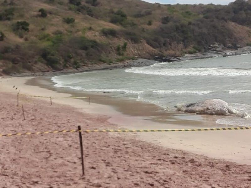 WhatsApp Image 2022-08-17 at 10.41.10