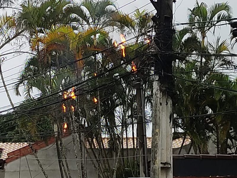 WhatsApp Image 2022-09-16 at 09.17.36