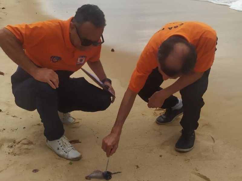 WhatsApp Image 2022-10-07 at 15.15.09