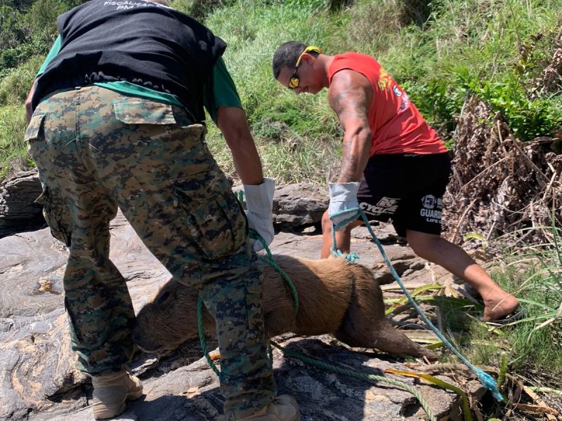 WhatsApp Image 2022-10-28 at 11.10.49