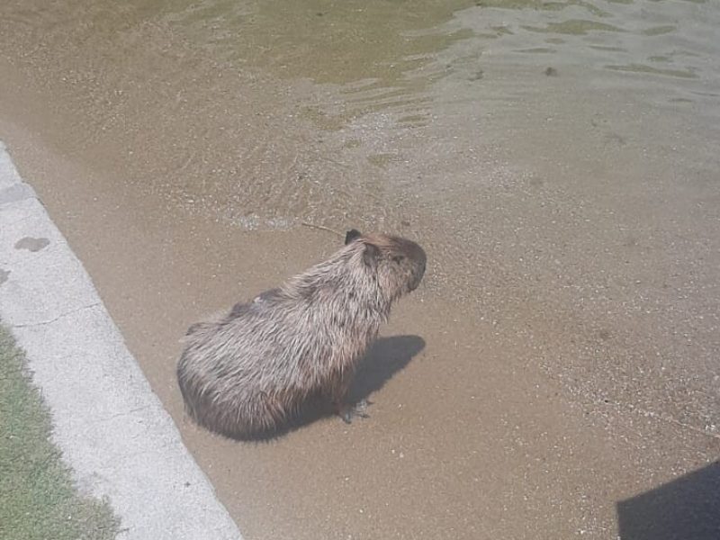 WhatsApp Image 2022-11-19 at 20.35.47 (1)