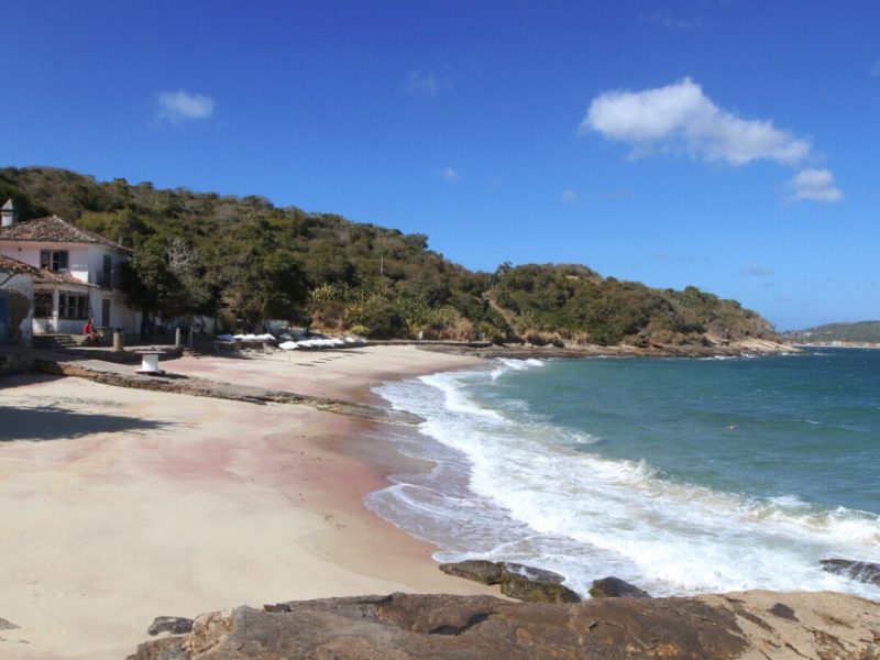 WhatsApp Image 2023-01-18 at 16.14.25