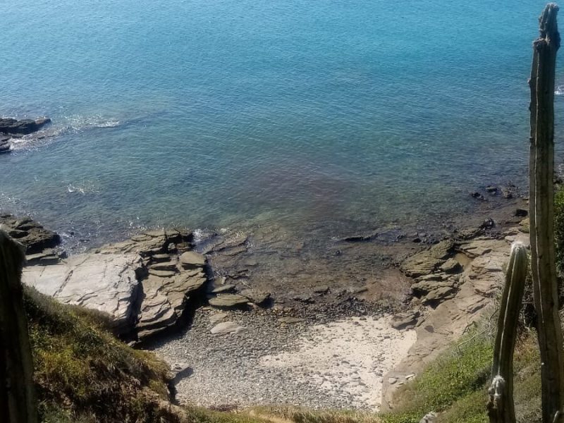 WhatsApp-Image-2023-03-17-at-07.58.39