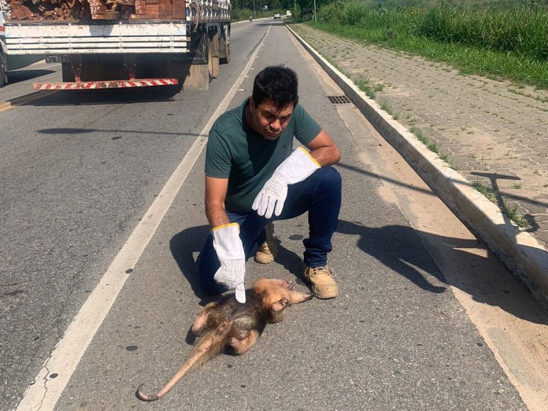 WhatsApp Image 2023-05-16 at 09.24.11