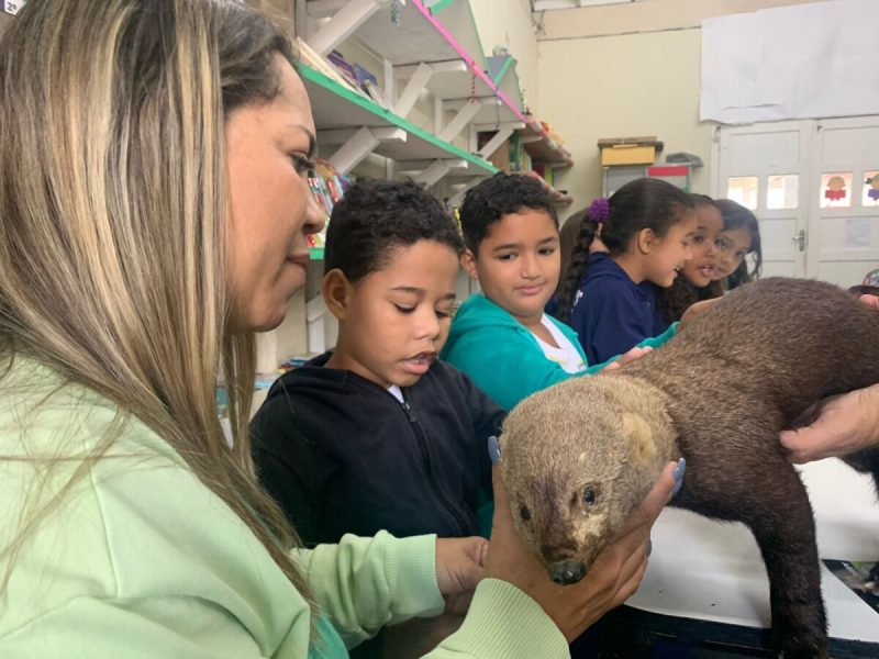 WhatsApp Image 2023-06-05 at 13.16.52