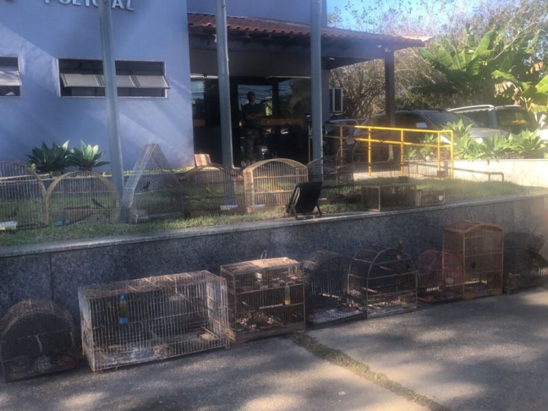 WhatsApp Image 2023-06-07 at 14.41.25