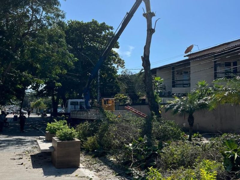 WhatsApp Image 2023-06-15 at 15.43.07