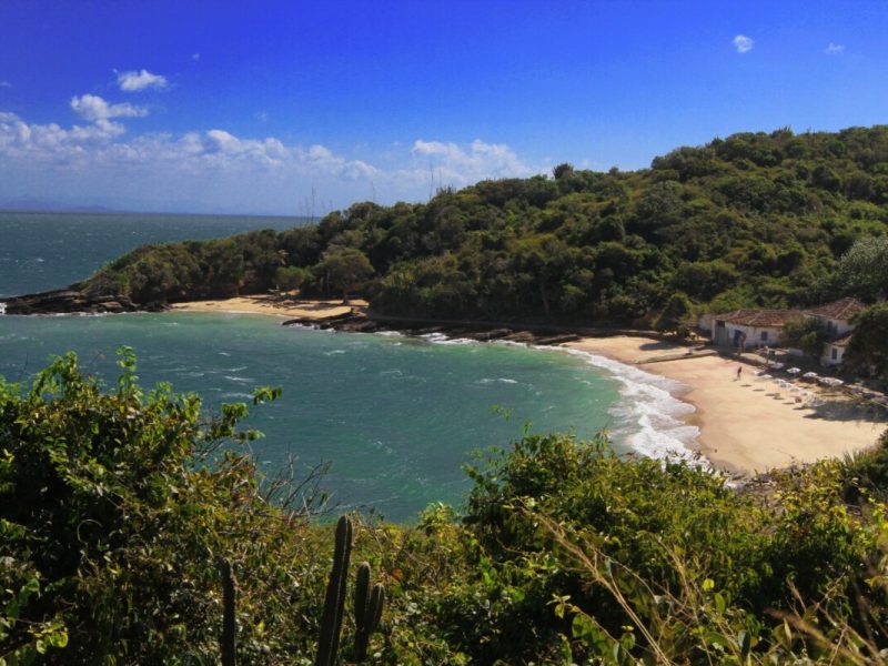 WhatsApp Image 2023-06-20 at 09.42.58