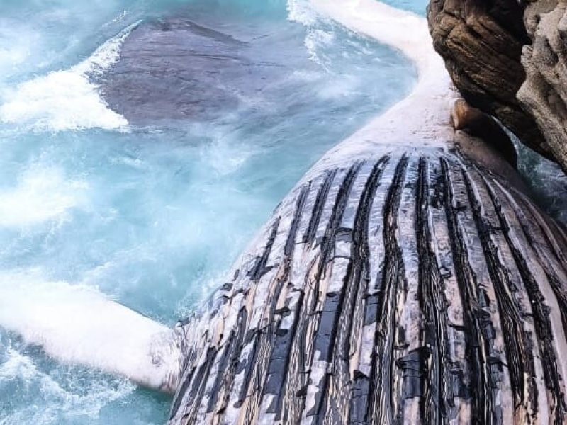 WhatsApp Image 2023-07-20 at 10.43.57