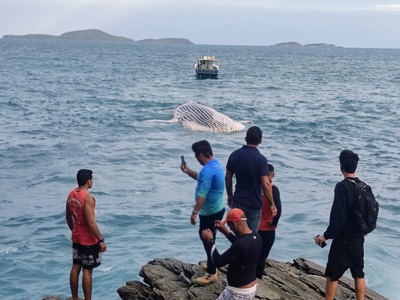 WhatsApp Image 2023-07-20 at 21.04.00