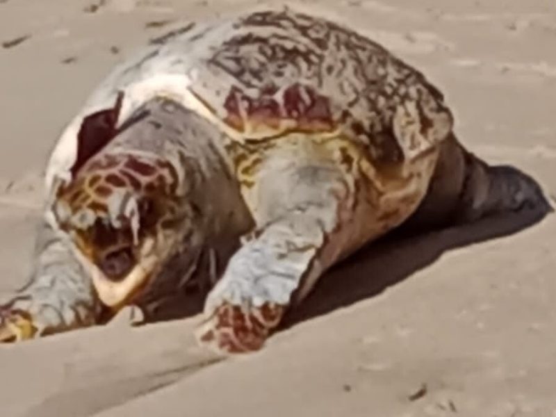 WhatsApp Image 2023-07-24 at 18.07.09