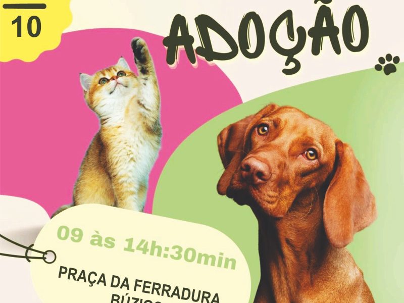 WhatsApp Image 2023-10-26 at 15.34.20