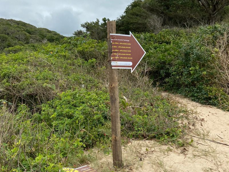 WhatsApp Image 2023-11-06 at 11.00.00