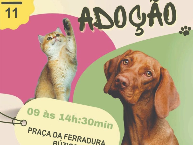 WhatsApp Image 2023-11-09 at 15.47.05