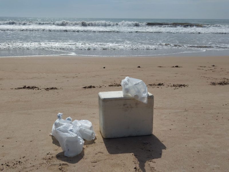 WhatsApp Image 2024-01-09 at 08.40.29