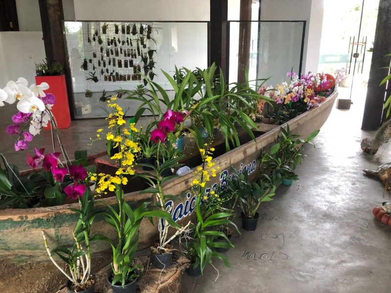 WhatsApp Image 2024-04-29 at 11.51.38