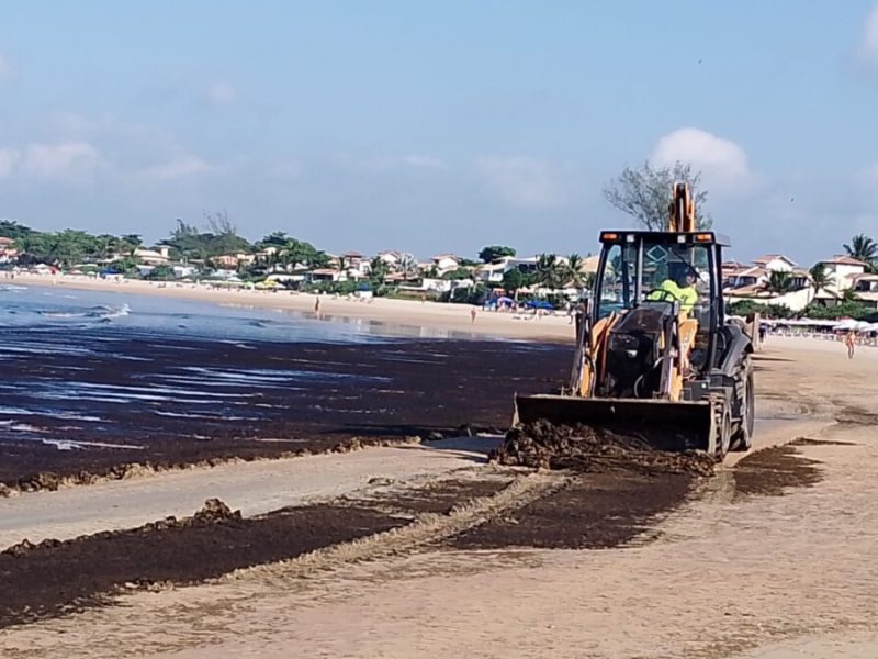 WhatsApp Image 2024-04-29 at 16.33.34 (1)