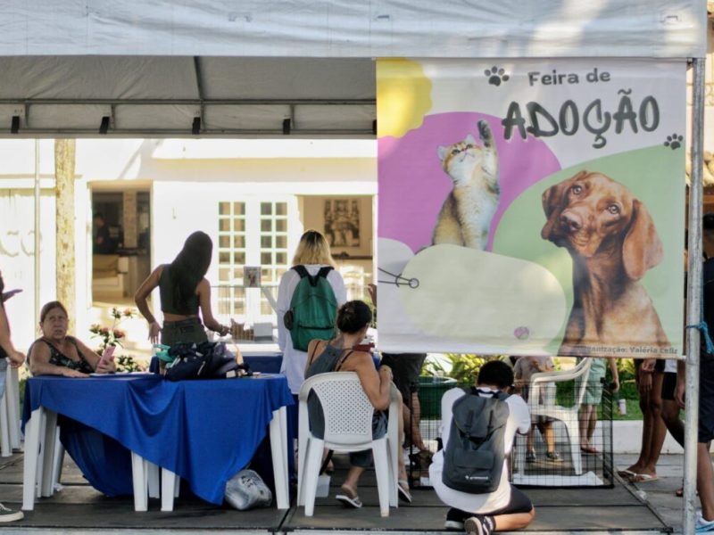 WhatsApp Image 2024-05-20 at 09.47.38