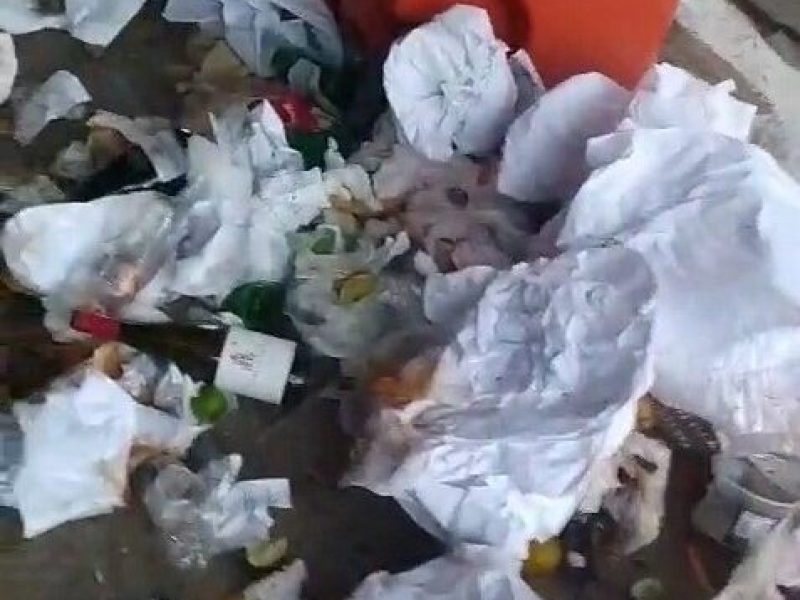 WhatsApp Image 2024-05-20 at 16.54.13