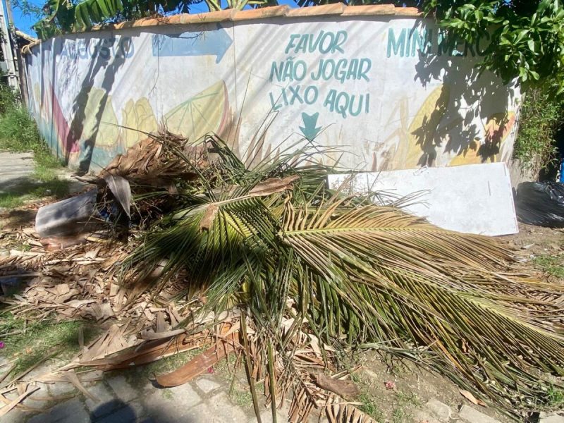 WhatsApp Image 2024-06-03 at 11.55.46