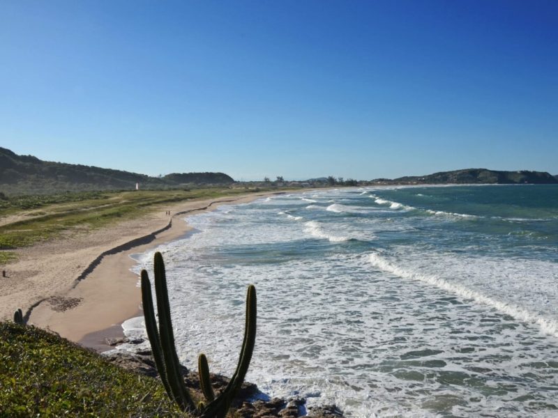 WhatsApp Image 2024-06-18 at 13.47.11