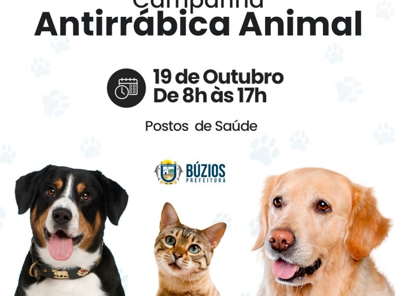 WhatsApp Image 2024-10-10 at 09.14.55