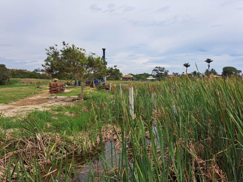 WhatsApp Image 2024-10-24 at 15.50.08