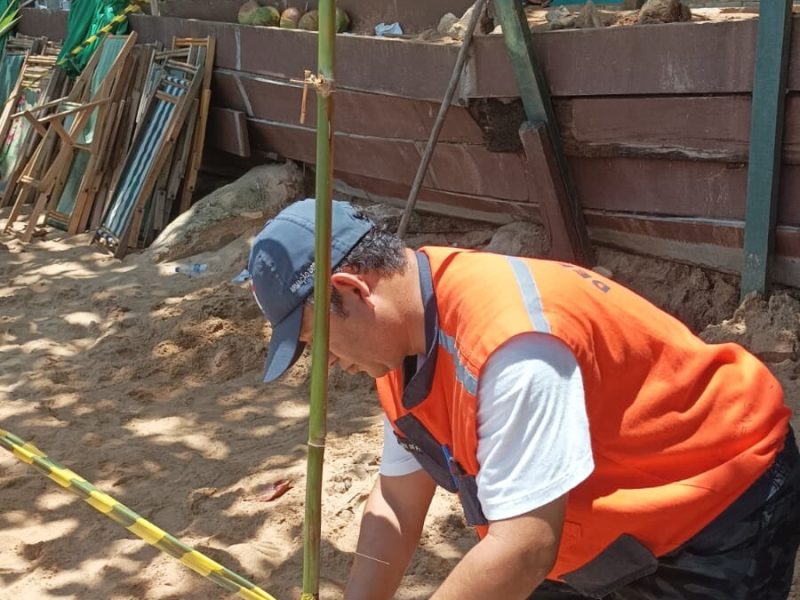 WhatsApp Image 2025-01-23 at 16.46.51