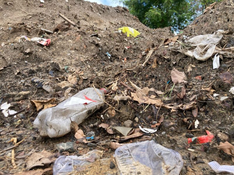 WhatsApp Image 2025-04-08 at 18.08.10 (1)