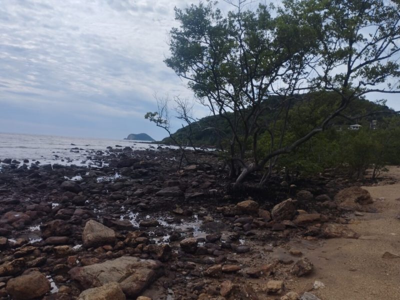 WhatsApp Image 2025-04-16 at 11.51.33