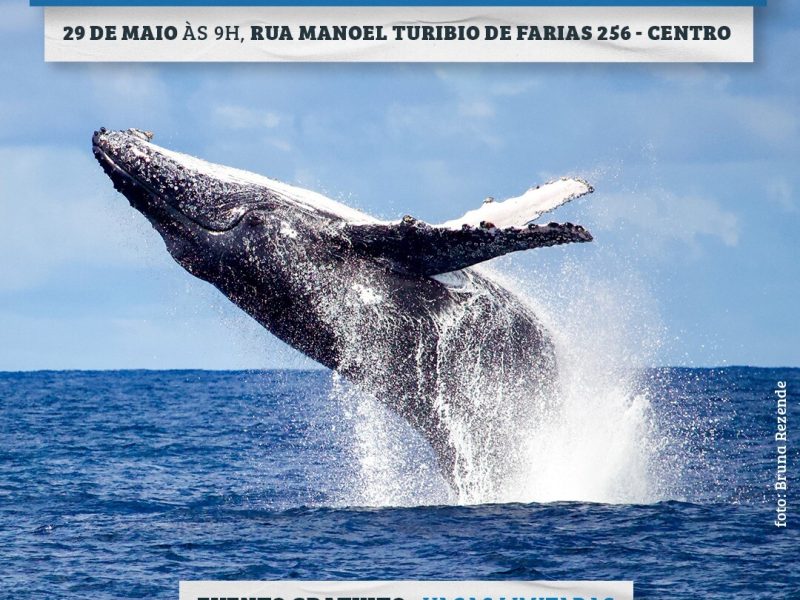 WhatsApp Image 2025-05-21 at 16.22.58