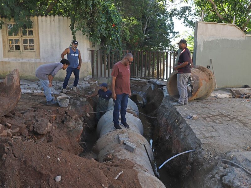 WhatsApp Image 2025-05-21 at 16.55.23