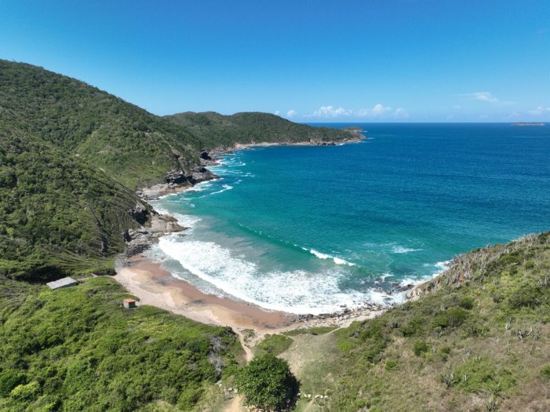 WhatsApp Image 2025-06-18 at 11.33.45 (1)