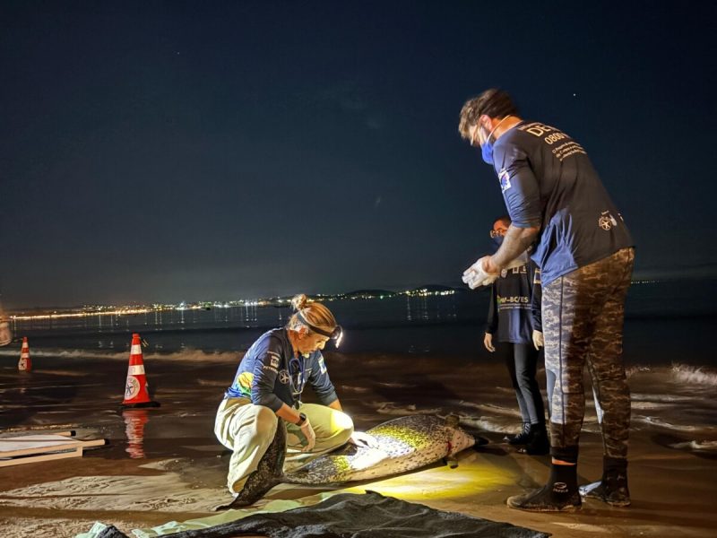 WhatsApp Image 2025-07-13 at 09.01.00