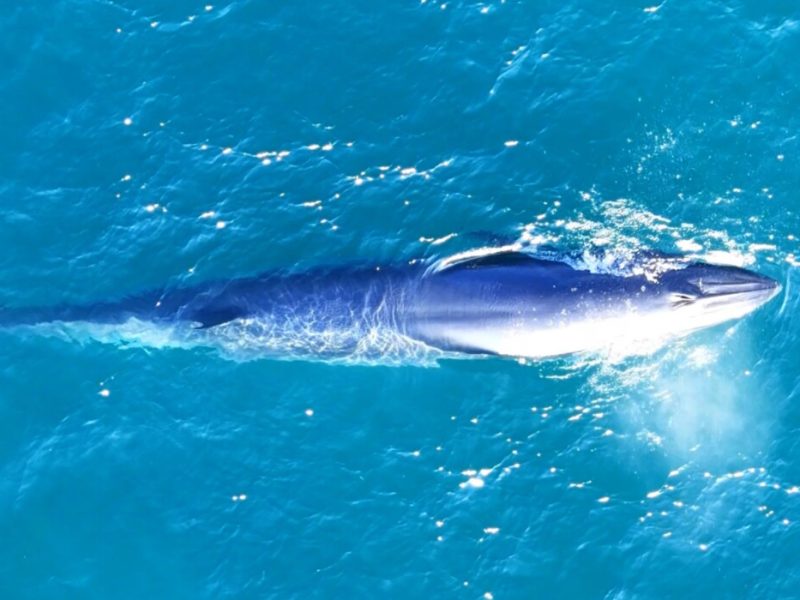 WhatsApp Image 2025-07-16 at 15.59.07 (1)