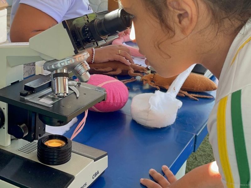 WhatsApp Image 2025-08-26 at 12.37.14