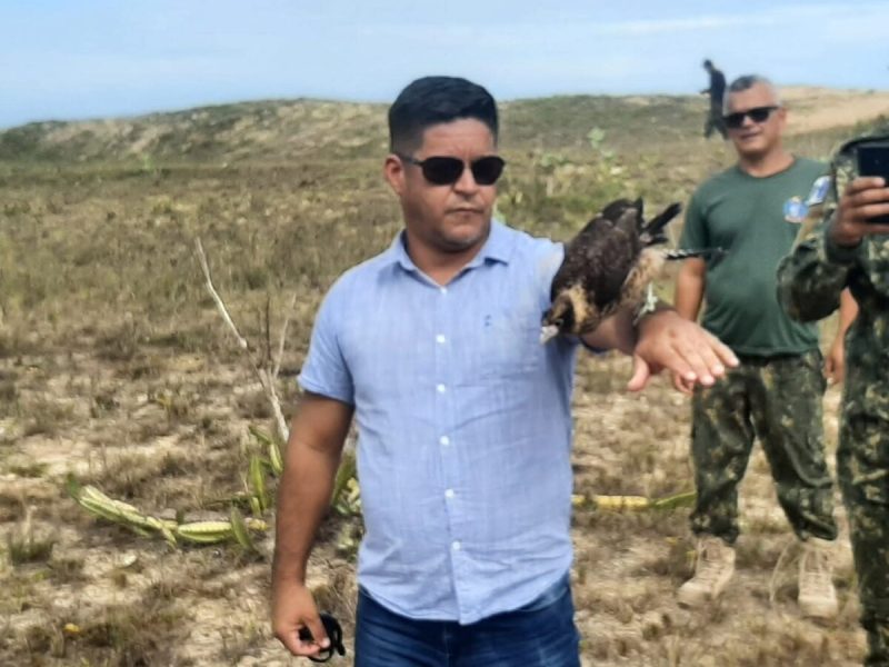 WhatsApp Image 2025-09-01 at 12.41.33