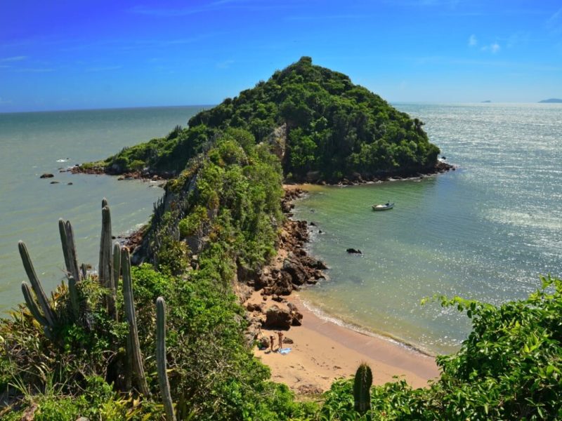 WhatsApp Image 2025-09-05 at 13.29.04