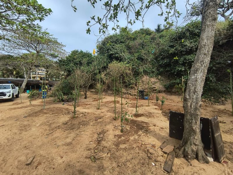 WhatsApp Image 2025-09-10 at 15.40.50 (1)