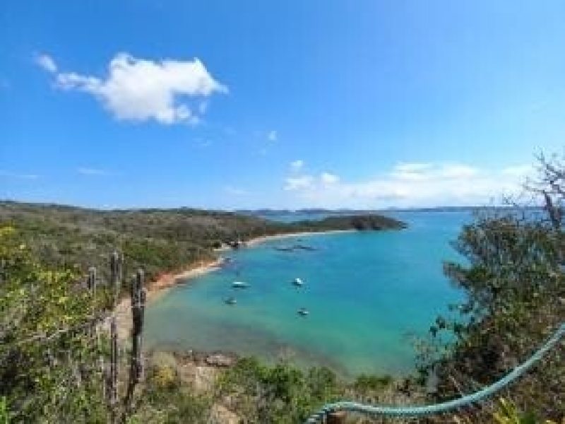 WhatsApp Image 2025-09-24 at 11.58.32 (1)