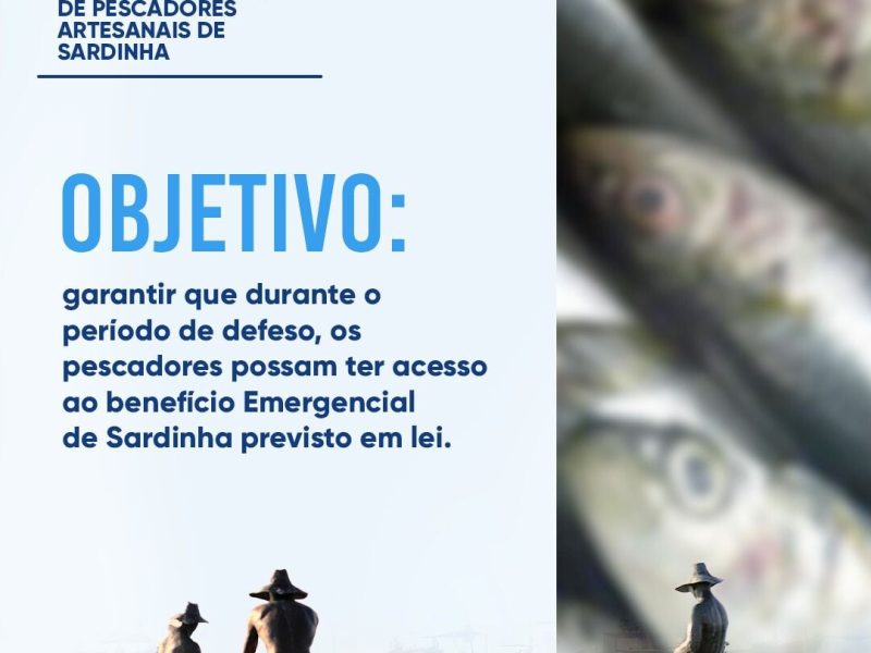 WhatsApp Image 2025-10-01 at 16.46.03