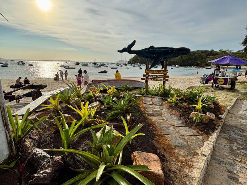 WhatsApp Image 2025-10-06 at 11.34.25