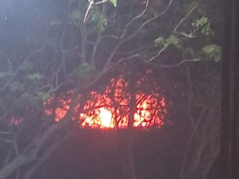 WhatsApp Image 2025-10-08 at 07.56.47