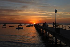 WhatsApp Image 2025-11-10 at 12.25.17