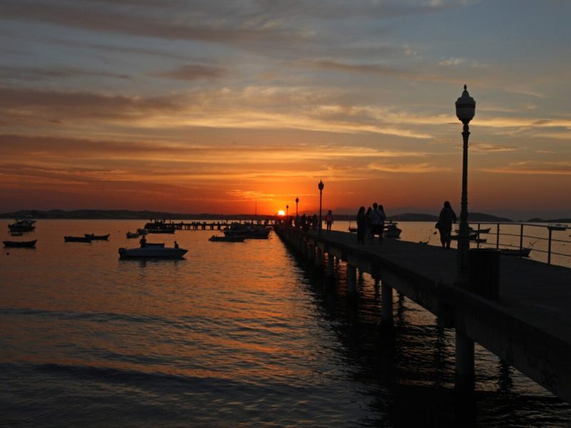 WhatsApp Image 2025-11-10 at 12.25.17