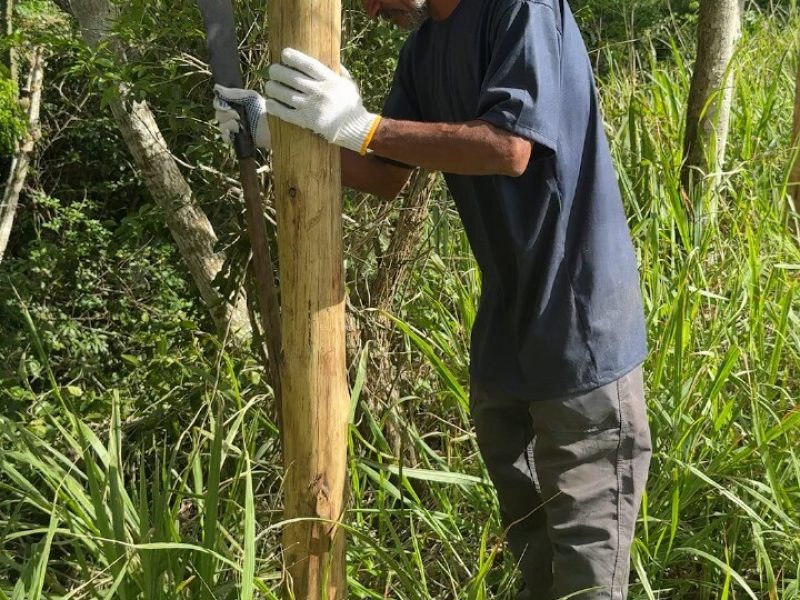 WhatsApp Image 2025-11-26 at 10.41.16