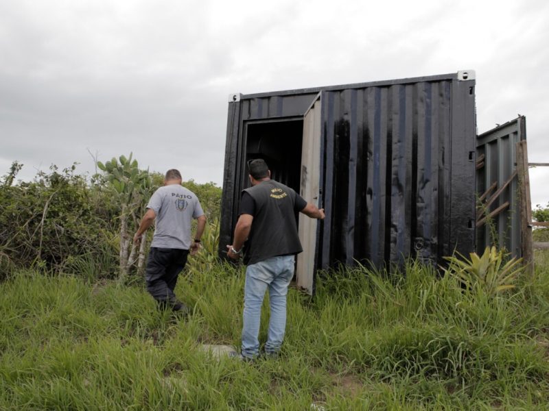 WhatsApp Image 2025-12-05 at 11.59.50