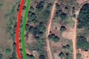 WhatsApp Image 2026-02-12 at 15.59.57