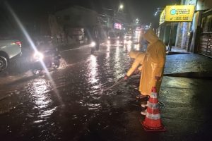 WhatsApp Image 2026-02-26 at 19.09.46 (1)